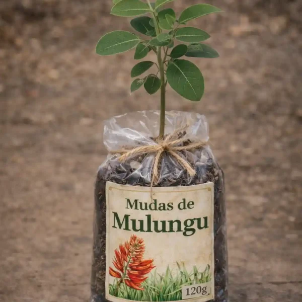 saboresesaberescurimatau.com.br-11